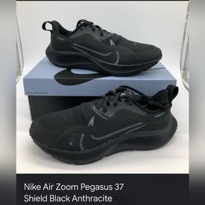 Nike air zoom Pegasus 37 shield
